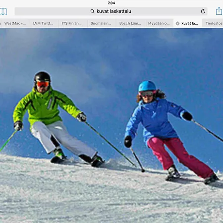 Lakefinland 招待所 Heinävesi